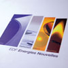 EDF Energies Nouvelles-rapports annuels