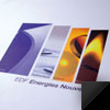 EDF Energies Nouvelles-rapports annuels